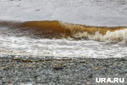 В Черном море начали откачку мазута из танкера