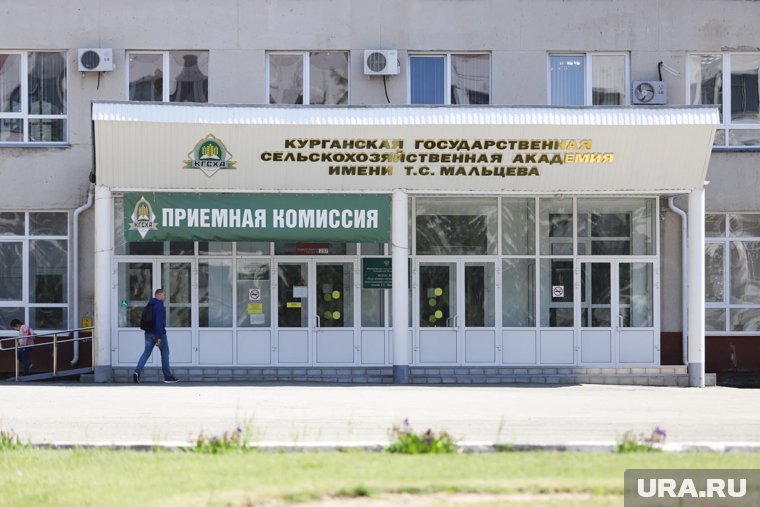 В филиал главного вуза Кургана не смогут устроиться топовые политики