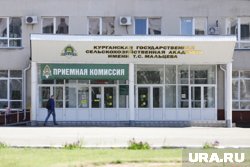 В филиал главного вуза Кургана не смогут устроиться топовые политики