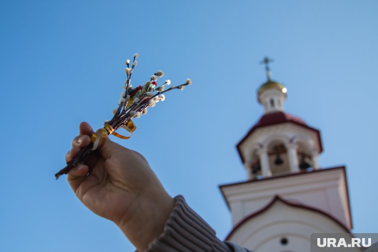 В шестую неделю принято срывать вербные ветки