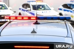 Полиция сообщила, что в одной из школ Австрии были слышны выстрелы