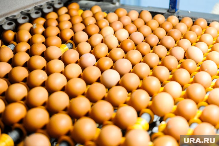 Яйца подешевели более, чем на 30%, отметил Станислав Богданов