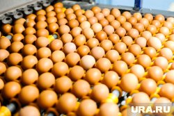 Яйца подешевели более, чем на 30%, отметил Станислав Богданов