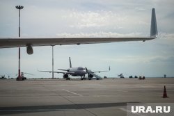 Росавиация проверит компанию «Ангара» после крушения Ан-24