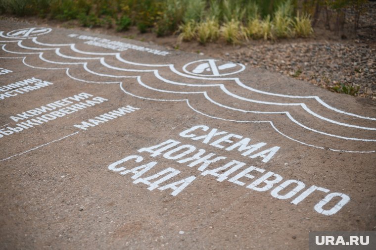 Первый дождевой сад появился в Перми в 2022 году