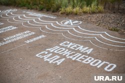 Первый дождевой сад появился в Перми в 2022 году