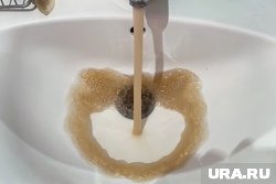 Все двери в популярное кафе были опечатаны