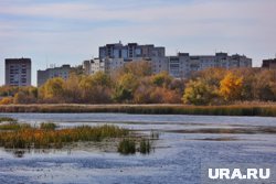В Кургане начало осени ожидается солнечным и теплым, а в Шадринске - туманным и дождливым