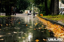 Осень в Югре начнется с солнечных дней, а закончится двадцатиградусными морозами