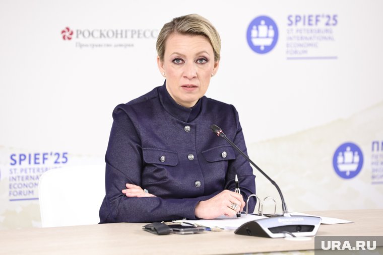 Захарова заявила, что ничего не знает об убежище для Маска