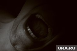 Адвокат чиновников Оксана Рудик намерена обращаться в правоохранительные органы, чтобы провести принудительное психиатрическое освидетельствование депутата думы Урая Леонарда Насибуллина
