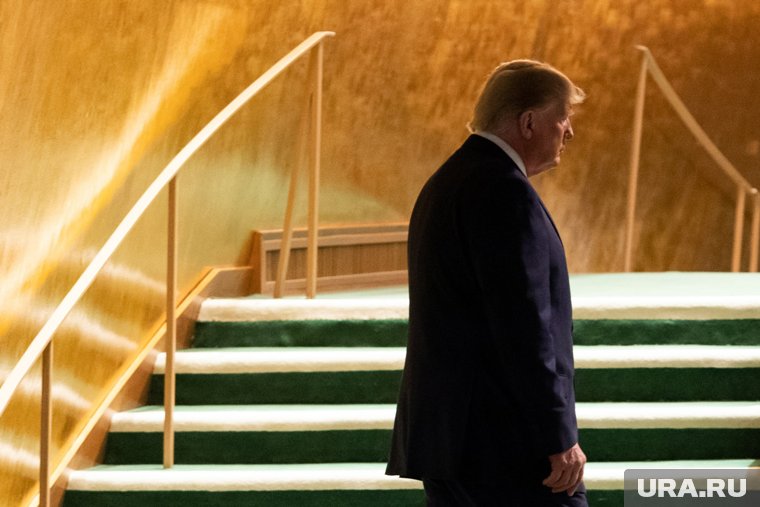 Трамп заявил, что работает над прекращением огня на Украине