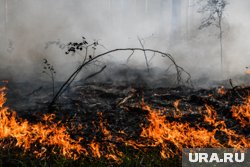 На Среднем Урале зафиксирован четвертый класс горимости леса