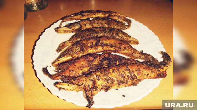 Автор убедился, что щурогайка - довольно вкусная рыба