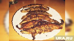 Автор убедился, что щурогайка - довольно вкусная рыба