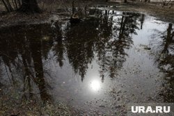 Прогноз магнитной бури 7 октября 2025