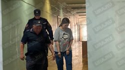 Анастасия, предположительно, разозлилась на дочь из-за плача