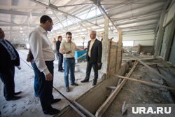 Директора регоператора капремонта задержали за превышение должностных полномочий