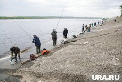 На разных реках Прикамья можно поймать разные виды рыб