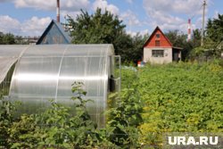 С 2022 года собрания СНТ могут проводиться онлайн