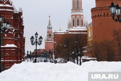 В Кремле никто не носит футболки с Владимиром Путиным «крепкий орешек», заявил Дмитрий Песков