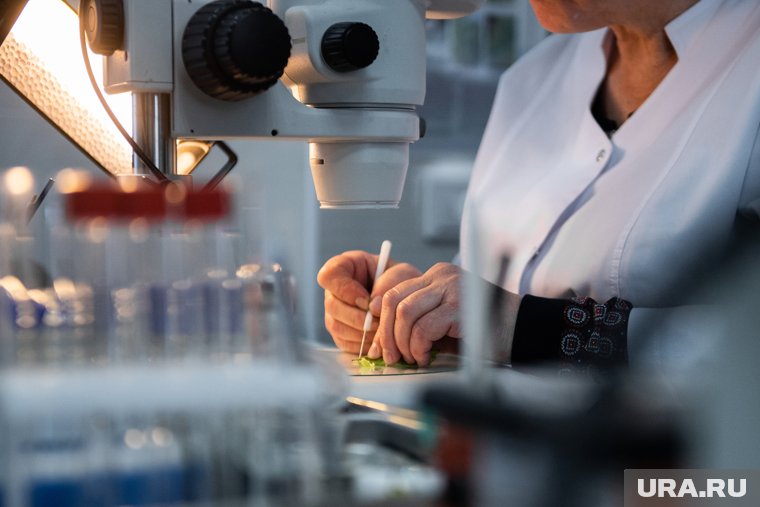 Вся продукция прошла фитосанитарный контроль