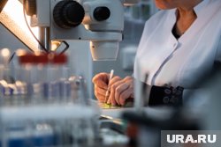 Вся продукция прошла фитосанитарный контроль