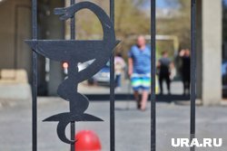 Заместители вступят в должность с 30 мая