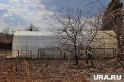 Владельцы домов в СНТ «Гвоздика» не могут спать по ночам из-за шумных вечеринок