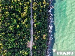 Ла-Нинья принесет понижение температуры воды и климатические аномалии