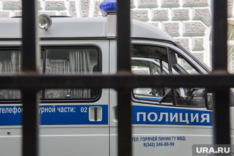 В ответ на сопротивление полицейские применили физическую силу и наручники