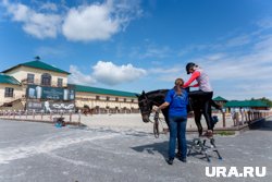 На лошадь садятся с небольшой стремянки