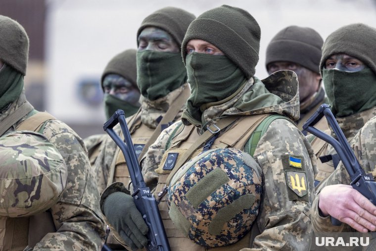 НАТО ограничило военный потенциал Украины, считают эксперты