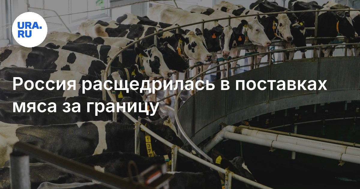 Сколько мяса Россия экспортирует за границу