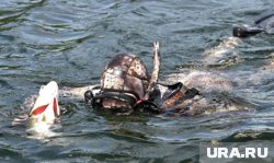 В Анапе во время сбора мазута погиб водолаз