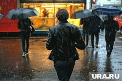 Ливень в Подмосковье, предположительно, закончится в 9 утра
