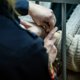 Купила квартиру: за что осудили экс-чиновницу Чиркову из Перми
