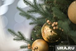 Новогодняя сказка выйдет на экраны в следующем году