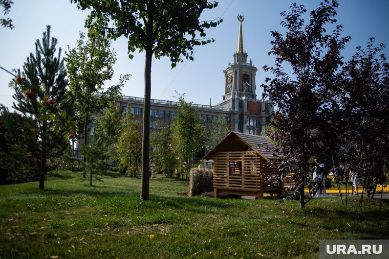 На площади может появится парк