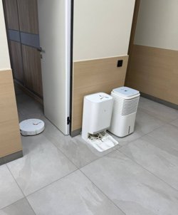 В курганском отделении ЕР перешли на уборку с помощью робота-пылесоса