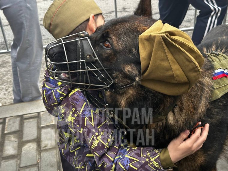 Маленькие дети обнимали и гладили овчарку в пилотке на 9 Мая