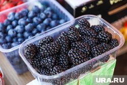 Югорчанам советуют не покупать ягоды у дорог
