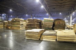 Тюменский завод занимался производством фанеры и других продуктов деревообработки