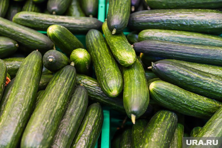 Продукция прошла проверку