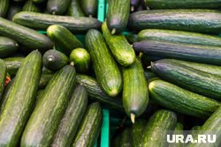 Продукция прошла проверку