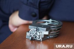 Прокуратура поделилась статистикой преступлений в Курганской области