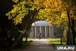 В парке растут более тысячи деревьев