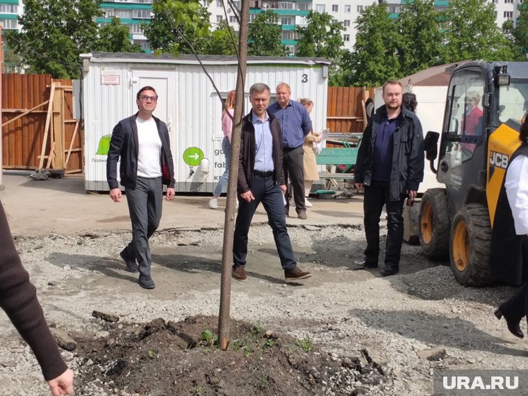 Подрядчики бережно отнеслись к зеленым насаждениям