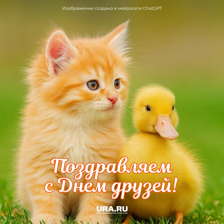 Люди ценят тех друзей, которые проявляют больше внимания и сочувствия, готовы поддерживать взаимные отношения