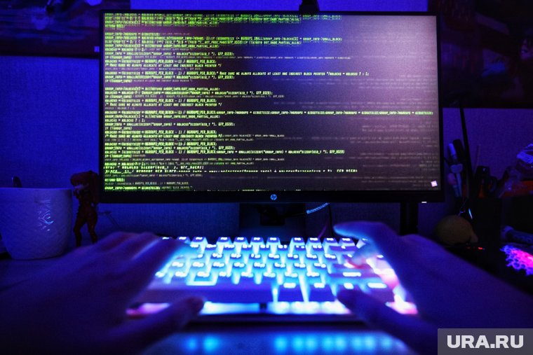 В Курганской области увеличилось количество IT-хищений на 21 процент